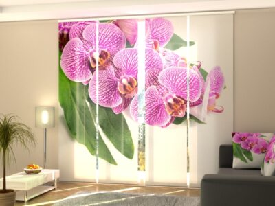 Schiebegardine 4 tlg. Violet Orchid on a Green Leaf