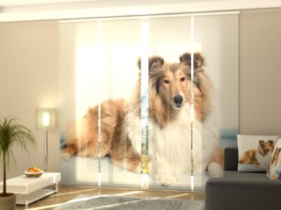 Schiebegardine 4 tlg. Beautiful Collie