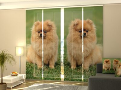 Schiebegardine 4 tlg. Brown Pomeranian Dogs