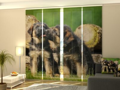 Schiebegardine 4 tlg. Cute German Shepherd Puppies