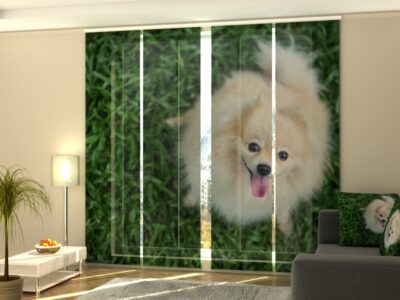 Schiebegardine 4 tlg. Happy Pomeranian Dog