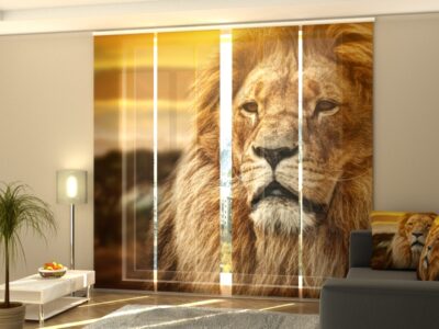 Schiebegardine 4 tlg. Lion in Savanna