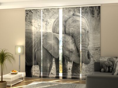 Schiebegardine 4 tlg. Young Elephants in Black and White