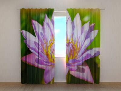 Fotovorhang Beautiful Lotus