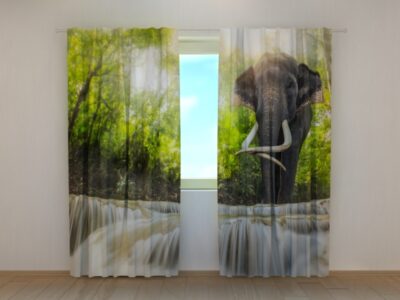 Fotovorhang Big Elephant