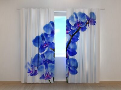 Fotovorhang Blue Orchid