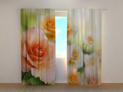 Fotovorhang Bride's roses