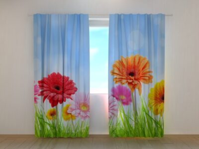 Fotovorhang Bright Gerberas