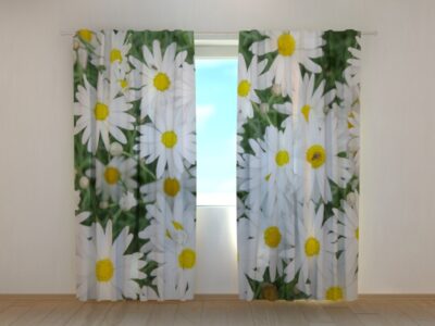 Fotovorhang Camomile 2
