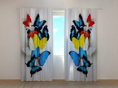 Fotovorhang Colorful Butterflies