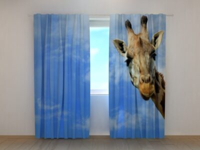 Fotovorhang Cuddles Giraffe