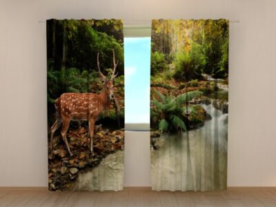 Fotovorhang Deer