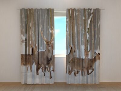 Fotovorhang Deer in Winter