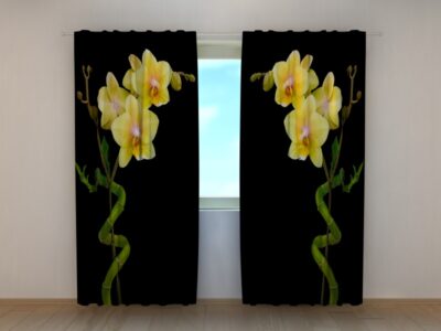 Fotovorhang Duet of Bamboo and Orchid