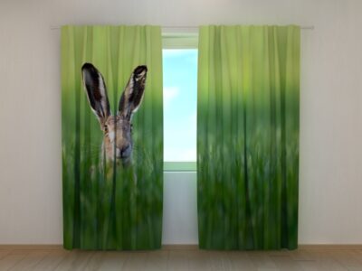 Fotovorhang Easter Rabbit in Green Grass