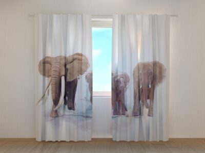 Fotovorhang Elephant Family