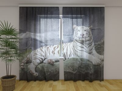 Fotogardine White Tiger on a Rock