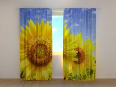 Fotovorhang Flowers of the Sun