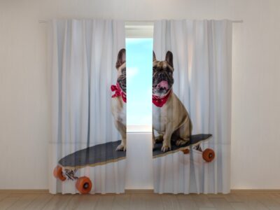 Fotovorhang French Bulldog on Skateboard