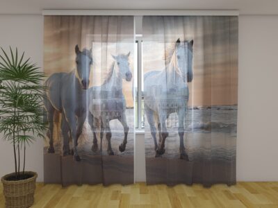Fotogardine Horses Family