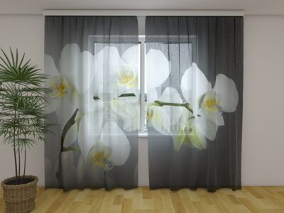 Fotogardine Song Orchids