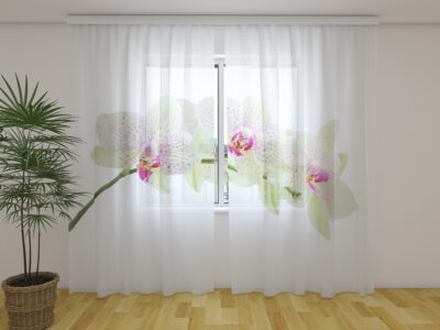 Fotogardine Sprig of White Orchid