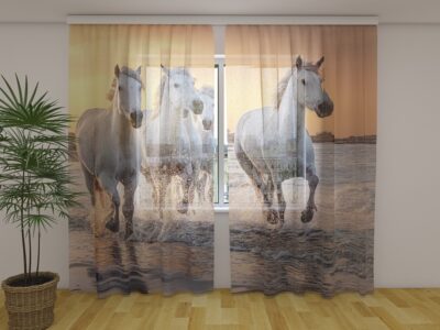 Fotogardine White Horses Galloping at Sunset in France