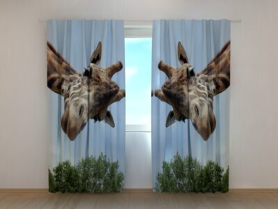 Fotovorhang Giraff