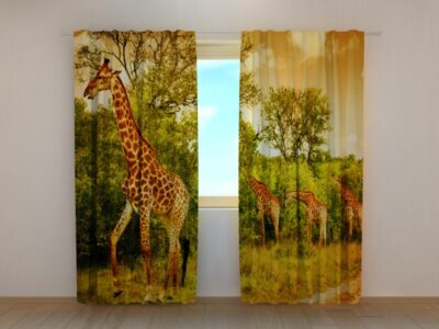 Fotovorhang Giraffes