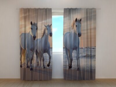 Fotovorhang Horses Family