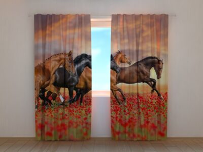 Fotovorhang Horses in the Poppies Field