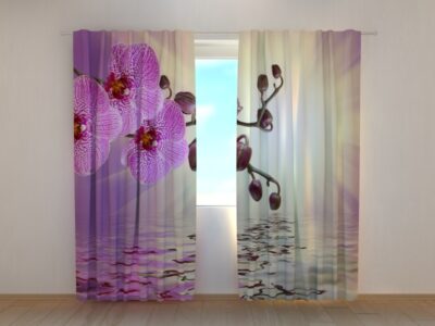 Fotovorhang Lilaceous Orchid