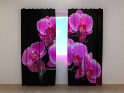Fotovorhang Orchid Twig