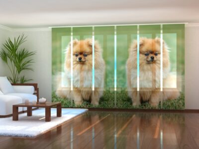 Schiebegardine (Flächenvorhang) 6 tlg. Set Brown-Pomeranian-Dogs
