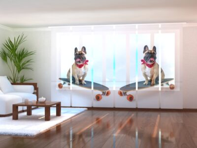 Schiebegardine (Flächenvorhang) 6 tlg. French-Bulldog-on-Skateboard