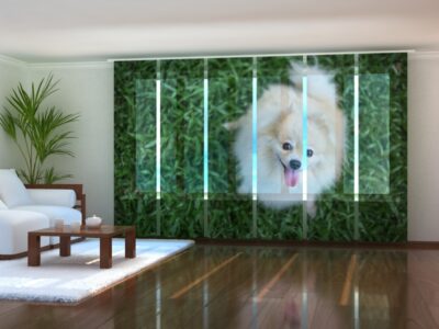 Schiebegardine (Flächenvorhang) 6 tlg. Happy-Pomeranian-Dog