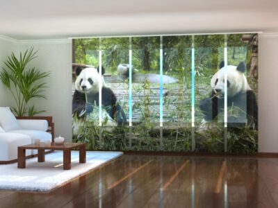 Schiebegardine (Flächenvorhang) 6 tlg. Pandas