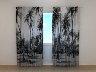 Fotovorhang Palm Trees in Black and White