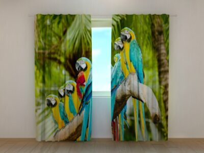 Fotovorhang Parrots