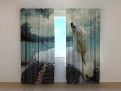Fotovorhang Polar bear