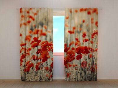 Fotovorhang Retro Field Poppies