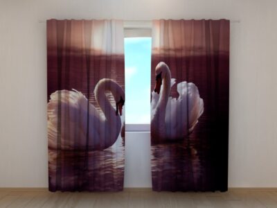 Fotovorhang Swans
