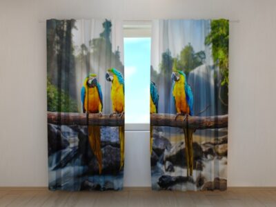 Fotovorhang Three Parrots