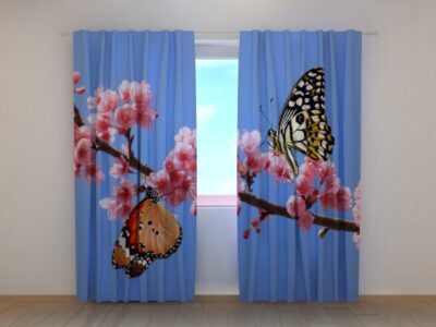 Fotovorhang Two Butterflies