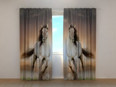 Fotovorhang Two Horses