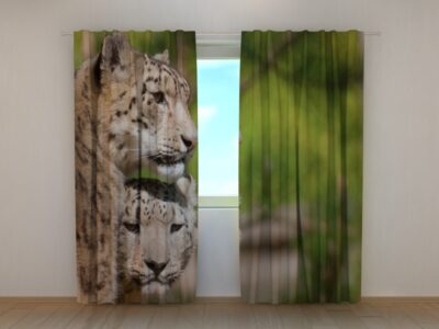 Fotovorhang Two Leopards