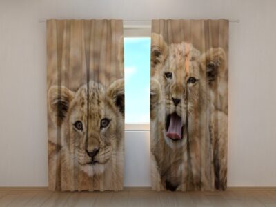 Fotovorhang Two Lion Cub