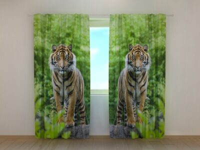 Fotovorhang Two Tigers
