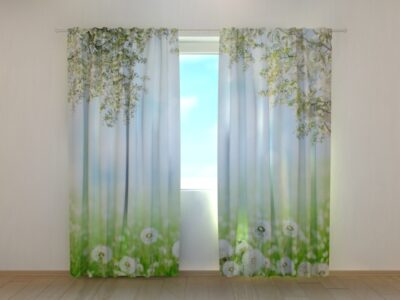 Fotovorhang White Dandelions