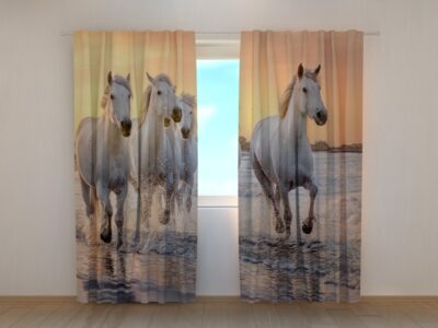 Fotovorhang White Horses Galloping at Sunset in France